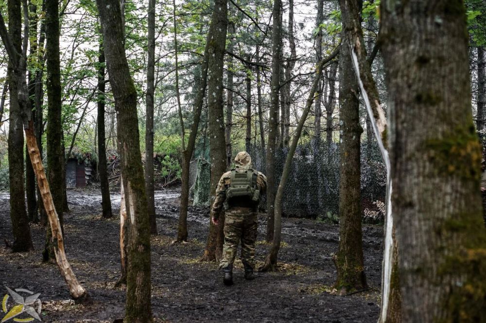 ����� ��������: ��� ������� "�������� ����� �����" �� ����� "������������� ������ ��������"