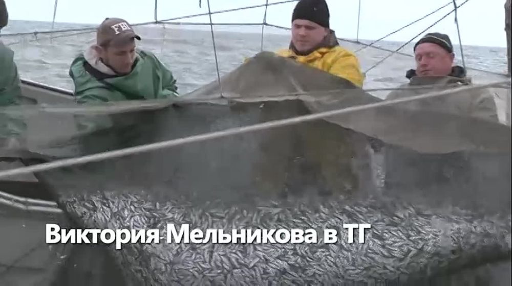 �������� ����������: ����� ������ � �������� ����!