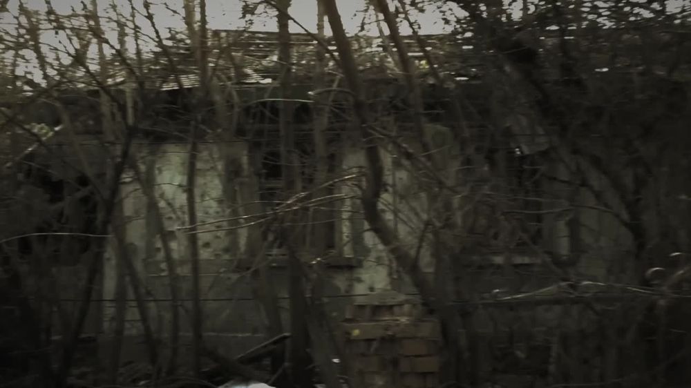 ����� ����� � ������ ������ ������� ����������Ҕ ����� ������ � ���� ����� �������� �������� ������������� "�� ����� �������" ����� ����� ���������