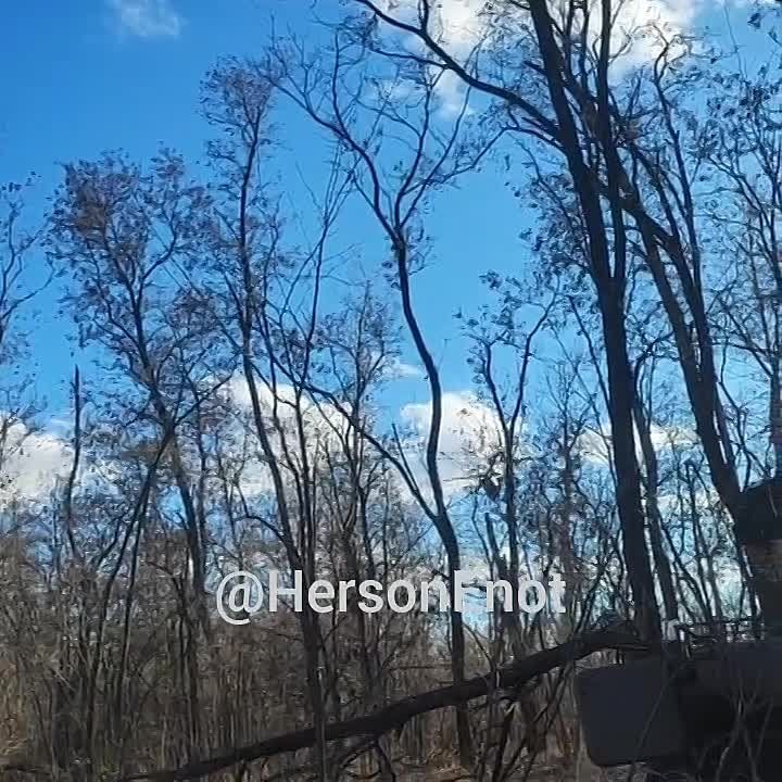 ������ �����. ����������� �������� ��� ���������� �����