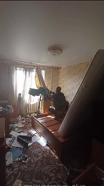 ��������!. ��������� ������ ��� � �������� � ������� �� ����