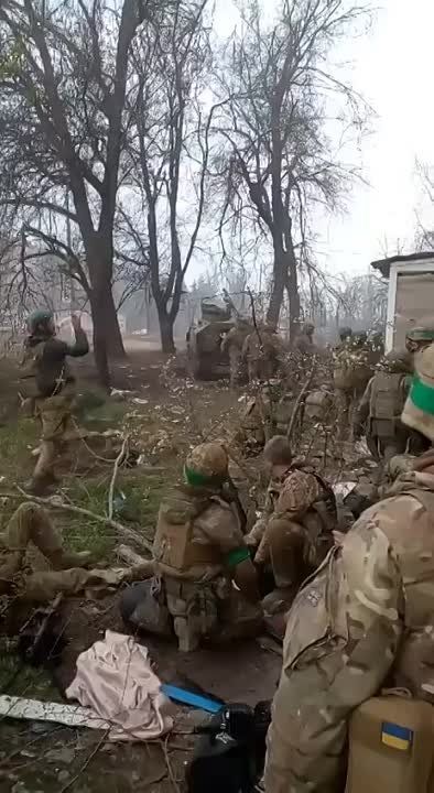 ���������� ��������� ������ �� �������� �������� ��������� � ��� ��������� ����� ����� ������ �������� ������������ �������