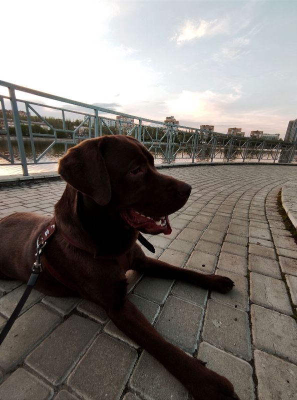 ����� ��������: ������ � � ������� ������ ������ ���������