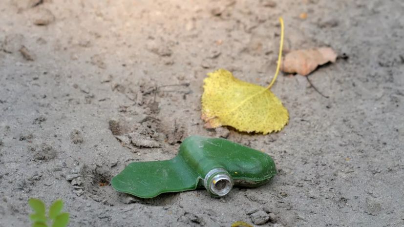 ��� �������: ������ ������ ���������� � ���������� ������������ ���� ���������