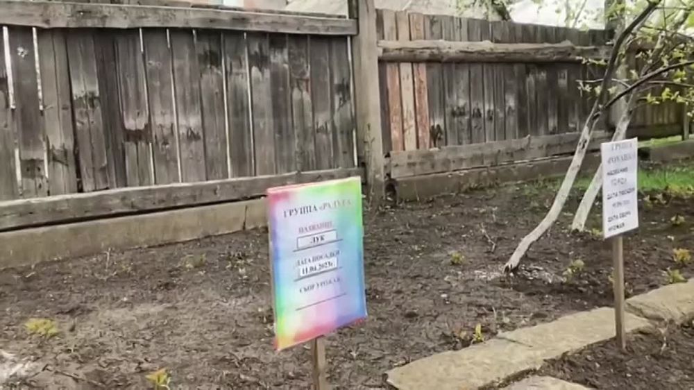 ������ ���� � ��� �������