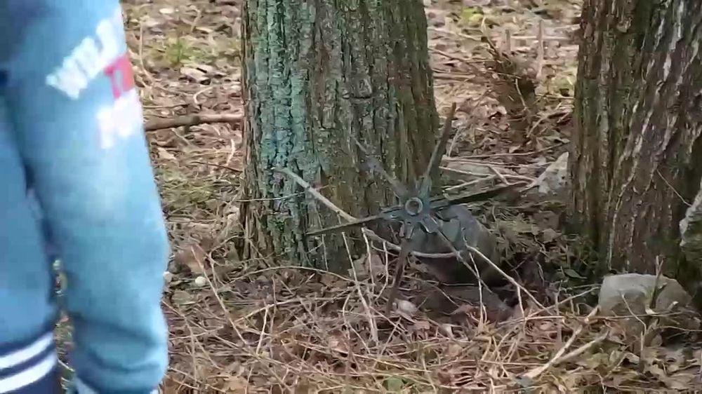 ��� ���:. ��� ������ ��� ����������� �������������� ��������?