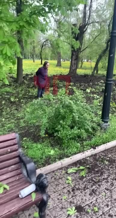 ���� �������� �����, ��������� �������, ������������� � ����� � ����� ���!