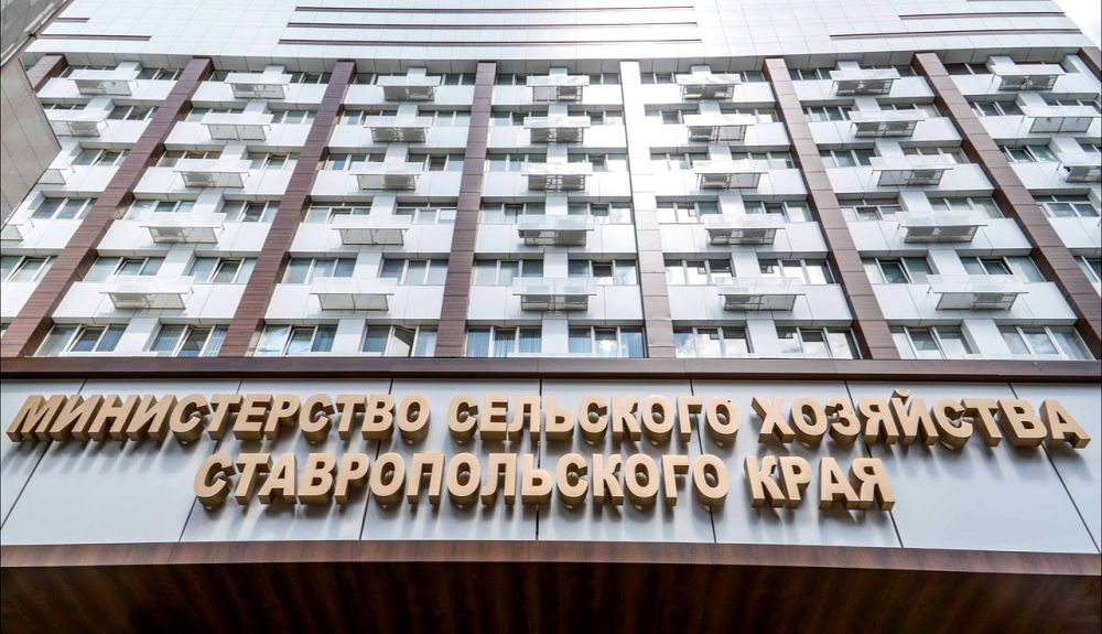 ����� ����������: ������ ���� ������� ������� � �������������� ����