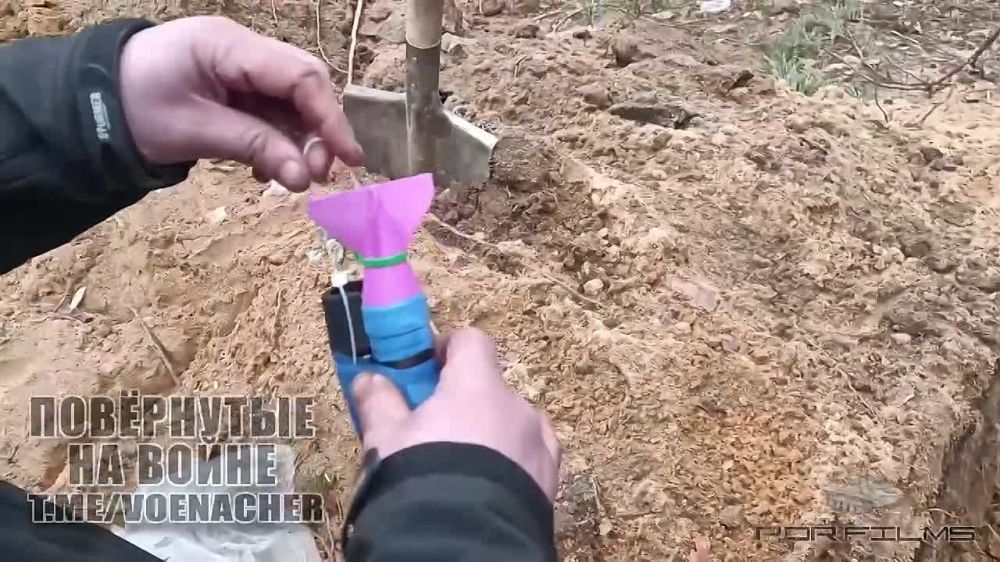 ������ 234 �� ��� � ���� ��� ���������