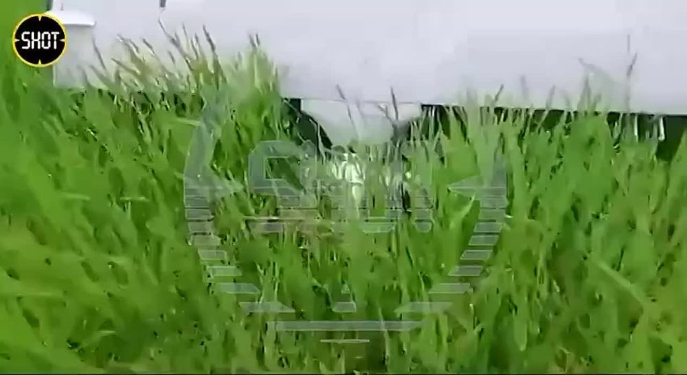 � ������ ����� �� ���� � ����������� ��������� ������� �� 6 ����, ��������������, ������ ��� ������ ������� ���� � ������� � ���������