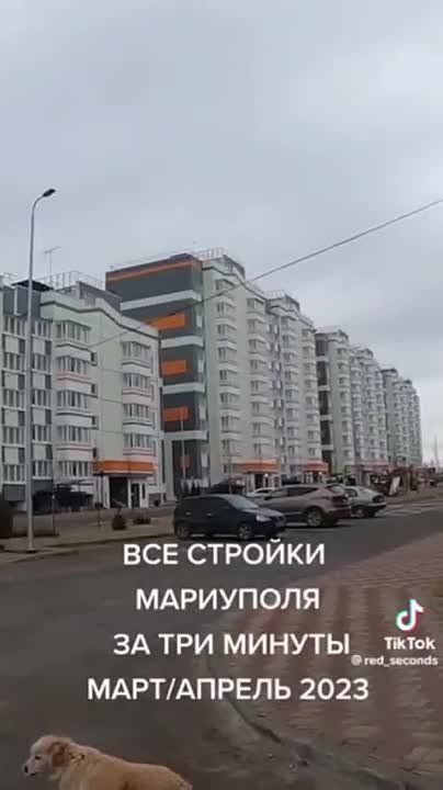 ���� ��������: ������ �������.. ������ ���������