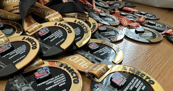 В Енакиево прошел турнир по ММА за право участия в республиканской сборной