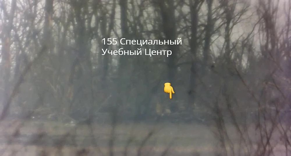 ����� �����: ����������� ������ ����� ������