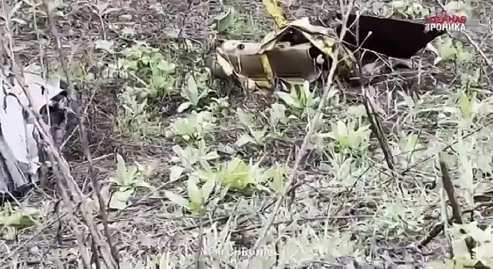 ���� �� �������: ��� ����������� ������� ��������� ������ ��������� ������ ��� ���������� ����� ����� ��������� �� �����