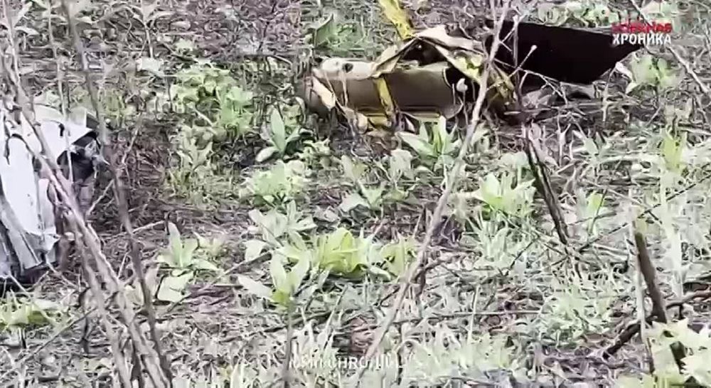 �� ��������� ��������, ��� "�������" ����� ��� � ���������� �������� �����