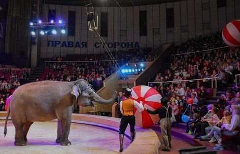 �������� ��������� "������� � ����" �� ����������� ���������� � ��������