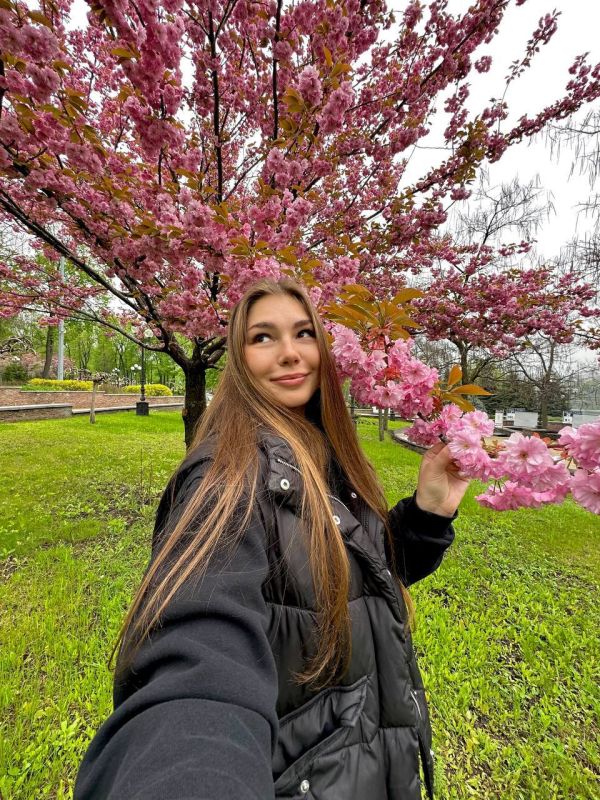 ������� �������: �������� �������.