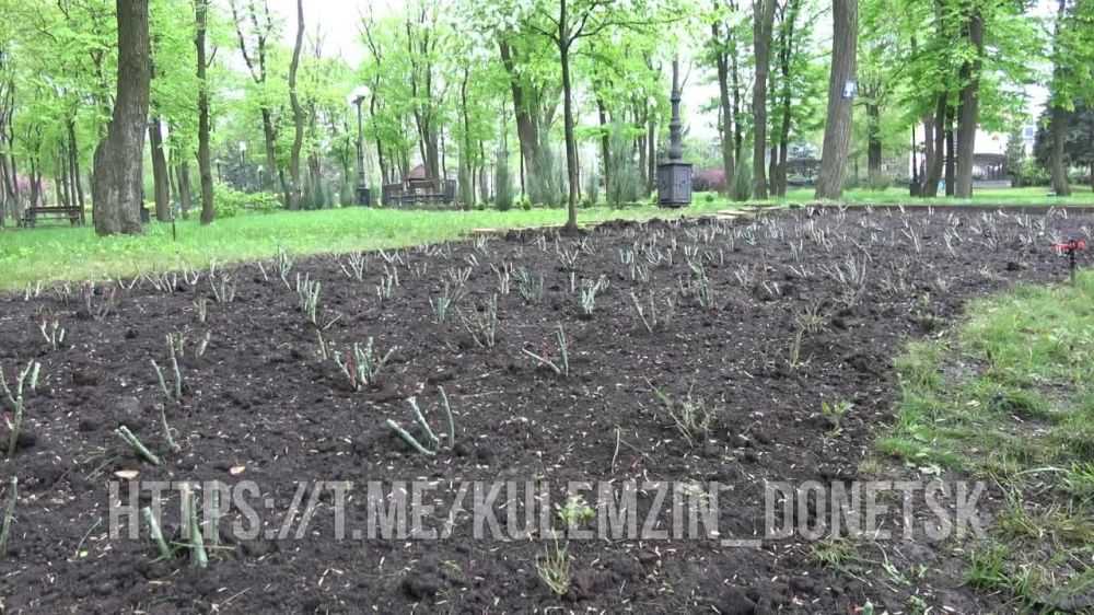 ������� ��������: �������� �� ���������������� ��������, � ������ ���� ��� ����� ���������� �����