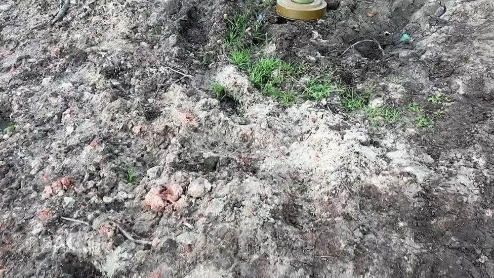 ��������� ������� �� ��������� �����������, ������� ���������� ������ ����� "����-19" � 2-� ������� 2-�� 8-� ����� ��� �� ������