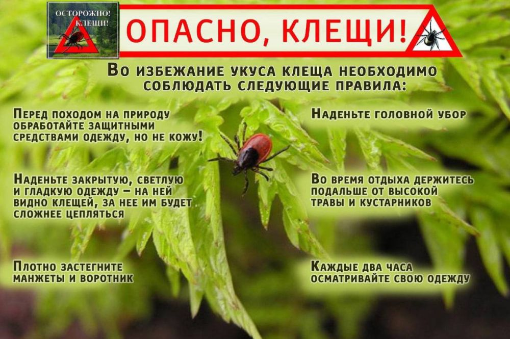 ������� ����������: ������ - 1 ���, � ������ ��������
