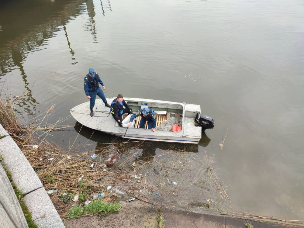 ����� 50 ������� ������� ������� � ������� ������ ��������� � �������