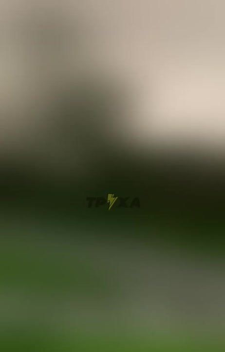 ������ ����� �� ���������: ��� ������� � ����� ����� - ���������, �� �������
