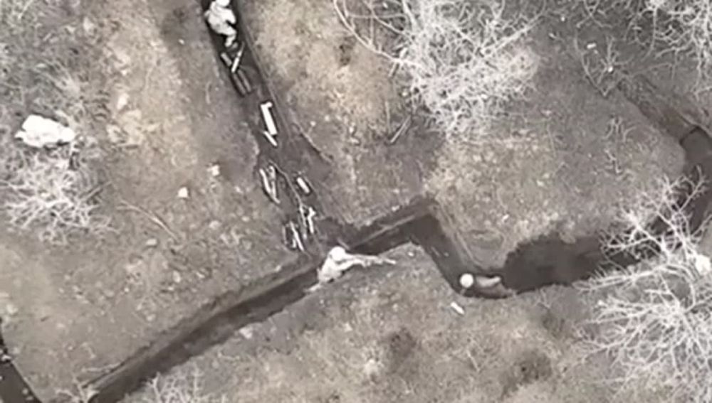 ���������� ������� ����� ��������� � ������ � ���� �������� ��� � ������ �������
