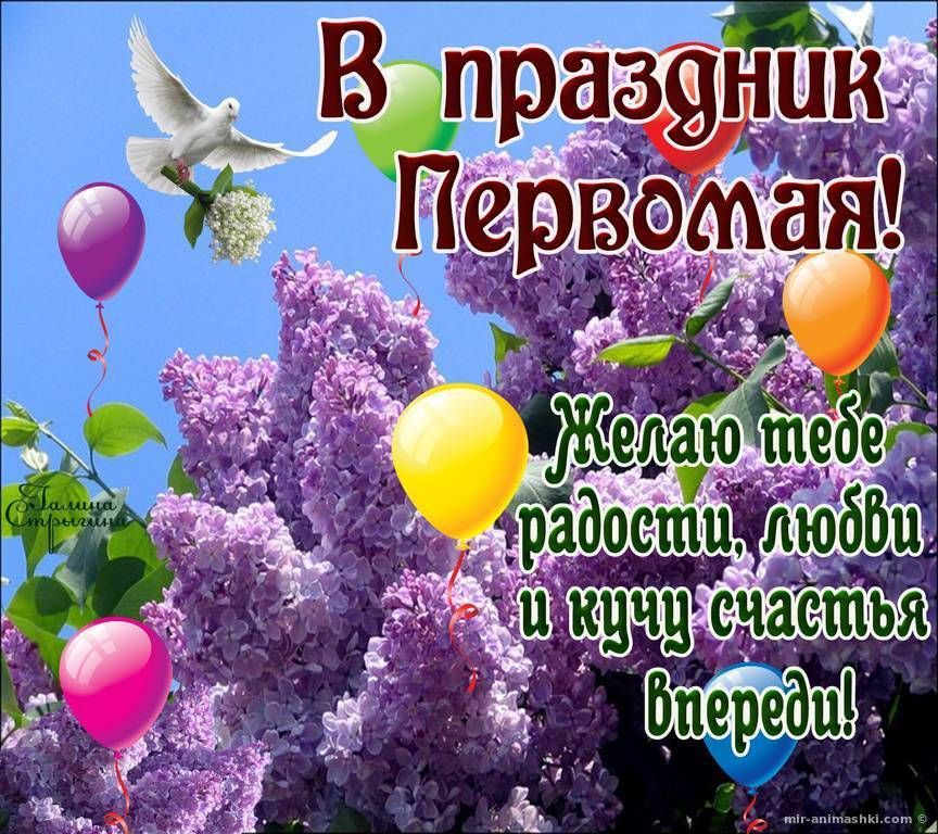 ���������� � ���������� ����� � �����! � ���� ������� ����� �������� ��������, ������ ��� ��-������ ������� �� ������� ����: ��������� ������, �������� �������, ��������� � ������������ �����