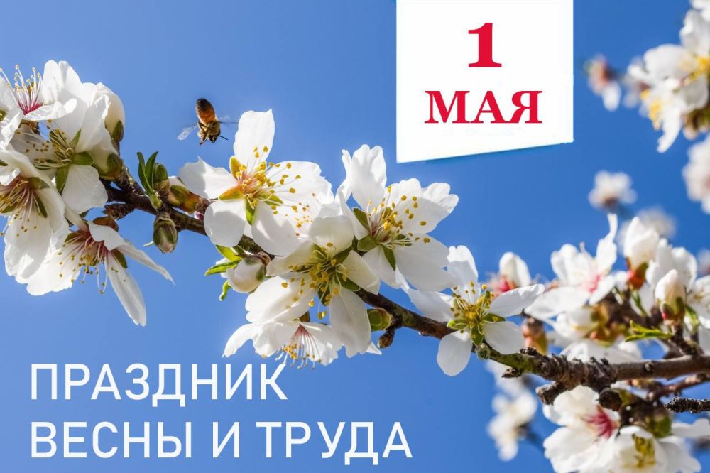 ����� �������: ������� �������!. ���������� ��� � ��������� � ���� ����� � �������������� �����!