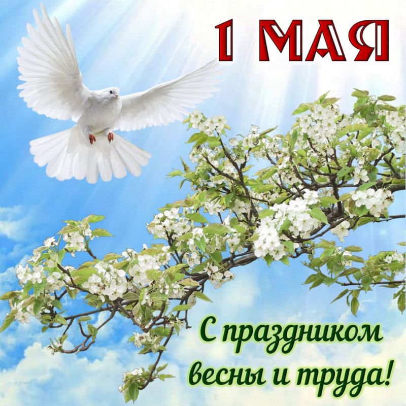 �������, �������, �������� � � ����� ����� �������!