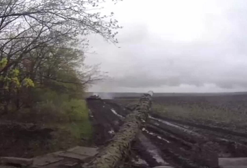 ��������������� �����������