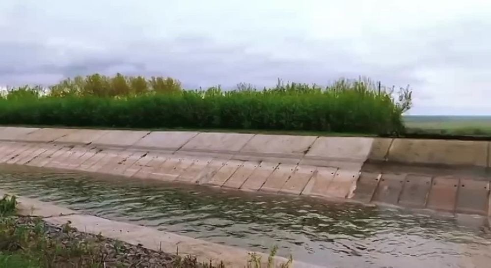 ����� ���������: �� ���� ������ ���� � ��� ����� ��������� �����- �������!