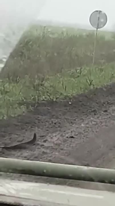 ������ �������: ������������ ��������� ��������c���, ������������ ��� ���������� ������� ��������������� ��������� ����� ����������