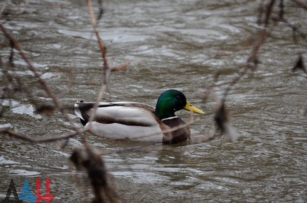 ��� ��������� �������� 16 �� ��������� ����� � ������ ����� ����� ������