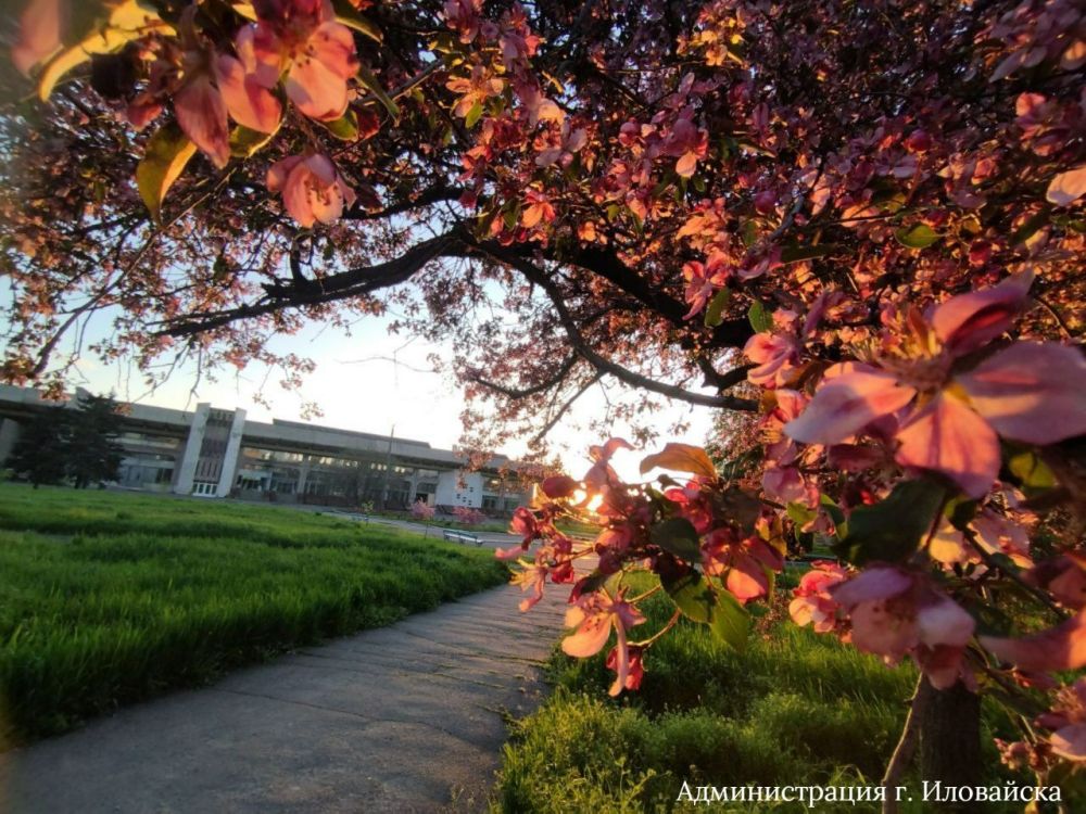 Руслан Дудников: В преддверии майских праздников Иловайск, город Воинской Славы, наполняется красками: всё цветёт и зеленеет, наполняя приятными ароматами дворы и улицы