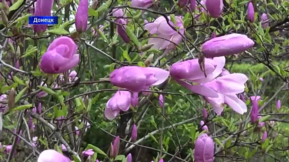 ���. � ������� ���������� ���������� ����