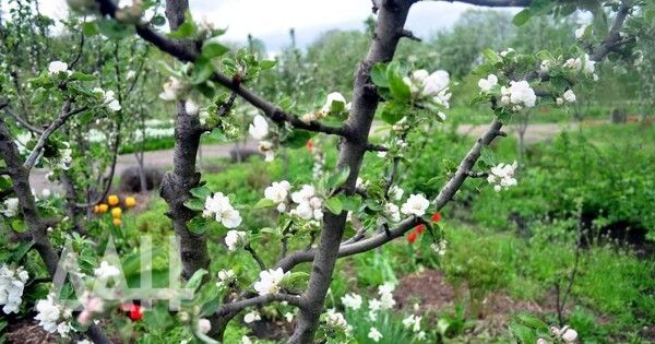 Основная картина событий в ДНР 3 мая