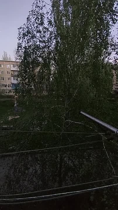 � ��� ����� ��� ���, ��� ������ ����� ������� �� ���������� ������ �������, ��� ��� ����� � ���������� �������� - ���������� ����� ������� ������