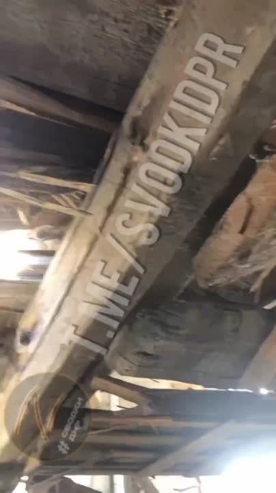 ��� ����������� �������� ����������� ������ �������, ���� ������ ��������� � ���