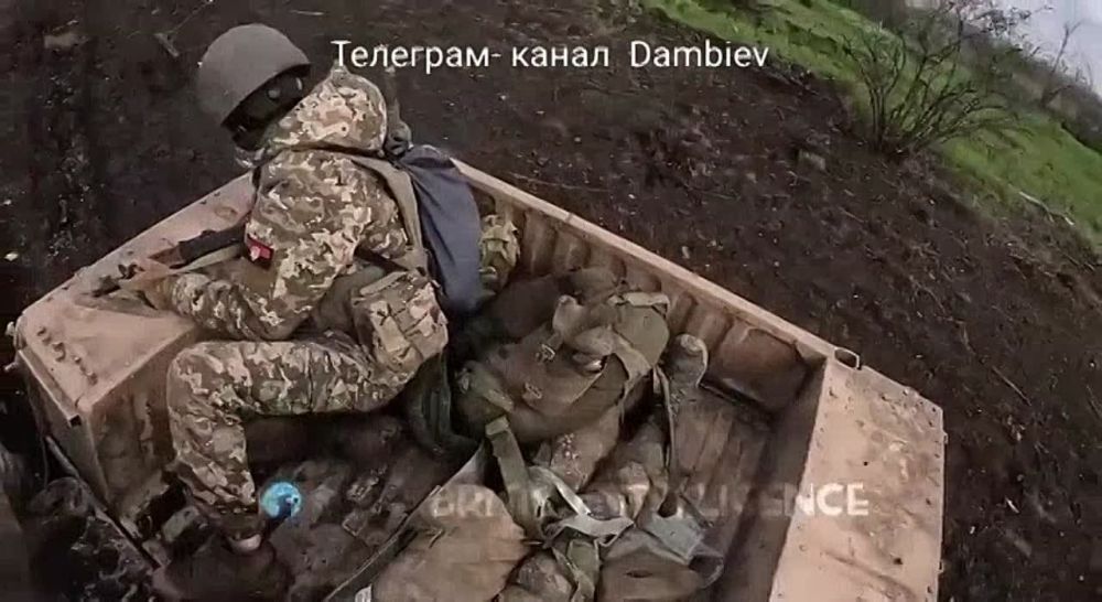 ������ �������: ��������� ��� ���� ������������ � ������ ���������� ��������� ��������� - ����� ������� (27 ���) � ����� ������� (21 ���)