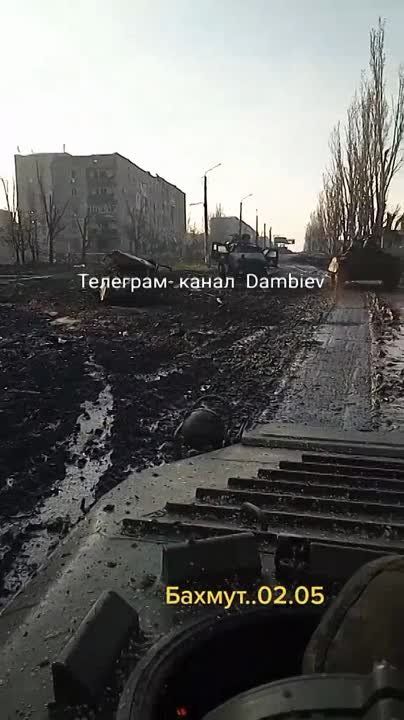 ������ �������: ��� ���� �������� � ��������� �� ������ � �������� ����� ���������� ���������� ��������������� Dingo ��������� ������������