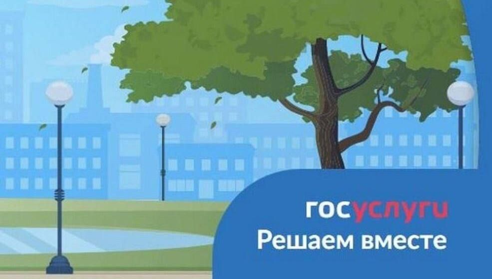 ������� �������: ��� ���� ������ ������� ������� �� ��������� �������������