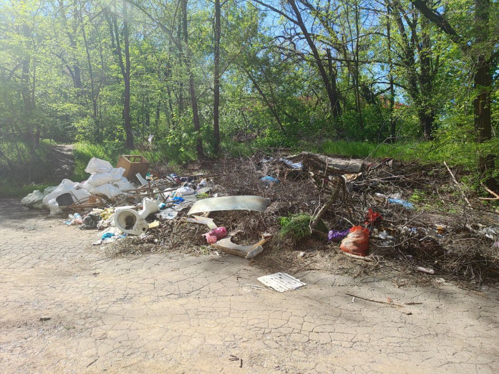 ������� ���������: �������, 4 ���, � ������ ������������ ����� "������ �������" � ��������� ������ ���� ������ � �������� ������������ ������ ������ �� ��. ���������, 6�