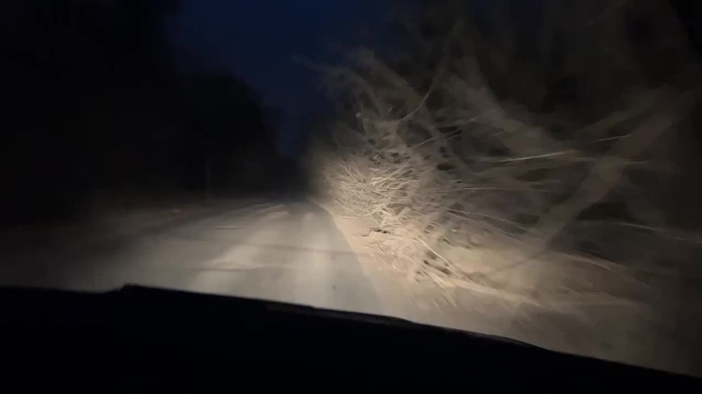 ��������� �������: �� � ��� �������� ������� ����)