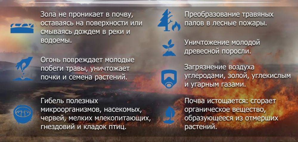 ������� �� ������� ���� ����� �����