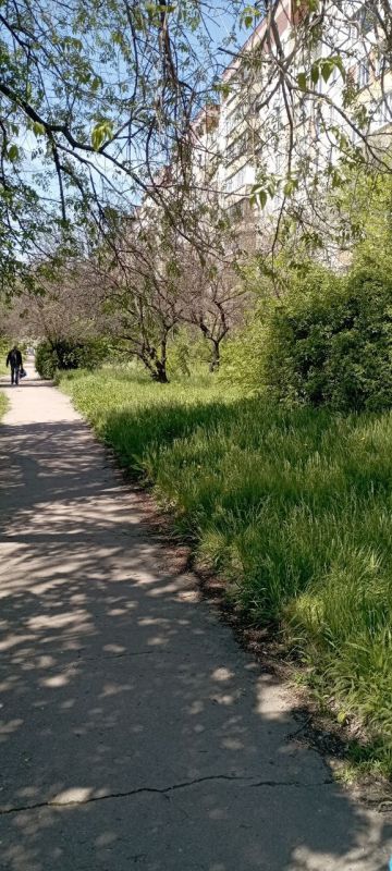 ������� ������: ������������� ��������� ������������ ������������� �. ������� "����������� �������� ������������ ������...