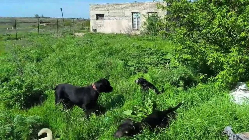 � �������������� ������ ����� ��������� ����� ��� ��������� �����