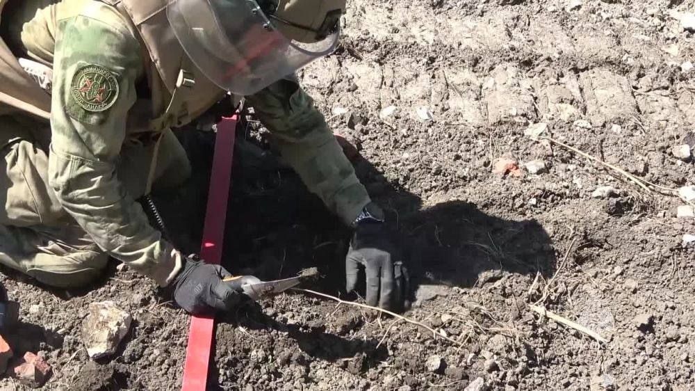������ ��� ������ ��� ������ ������� ����������� � ����� ��� ����� 700 ��� �� �����