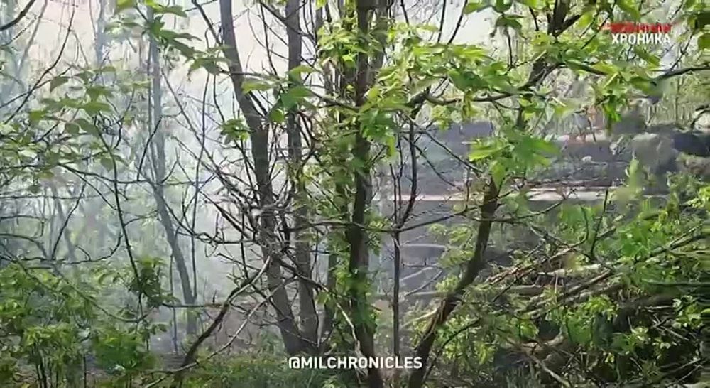 �����������, �Z��� ����