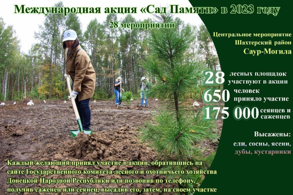 175 000 ������� � �������� �������� � ���������� � ������ ������������� ����� ���� ������